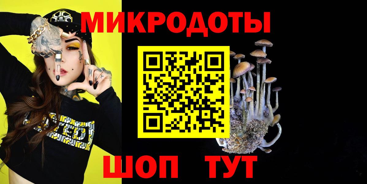Галлюциногенные грибы Cubensis  Вход с VPN  закладка  Псилоцибиновые грибы Psilocybe  Соль-Илецк 